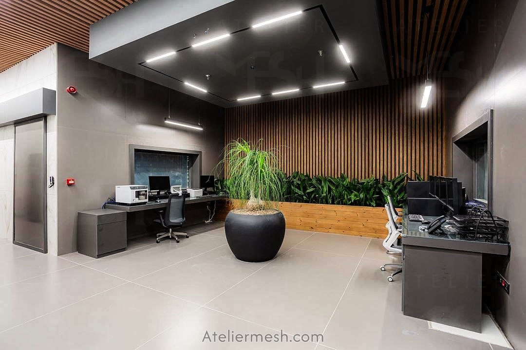 Atelier Mesh209